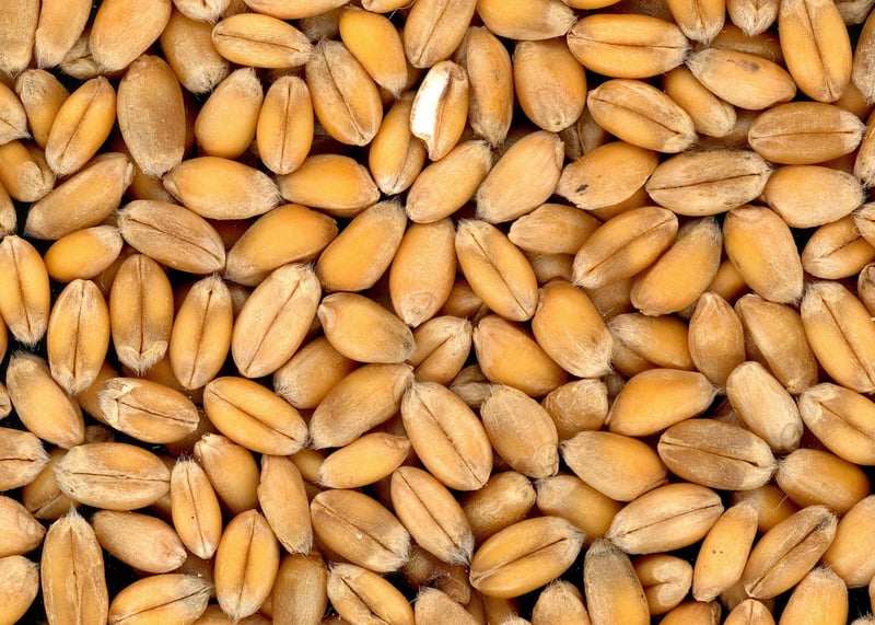 Whole grains
